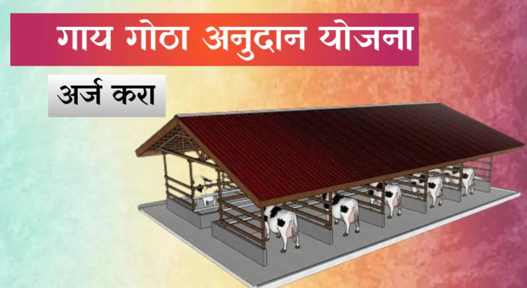 Cost-Effective Cow Shed Design